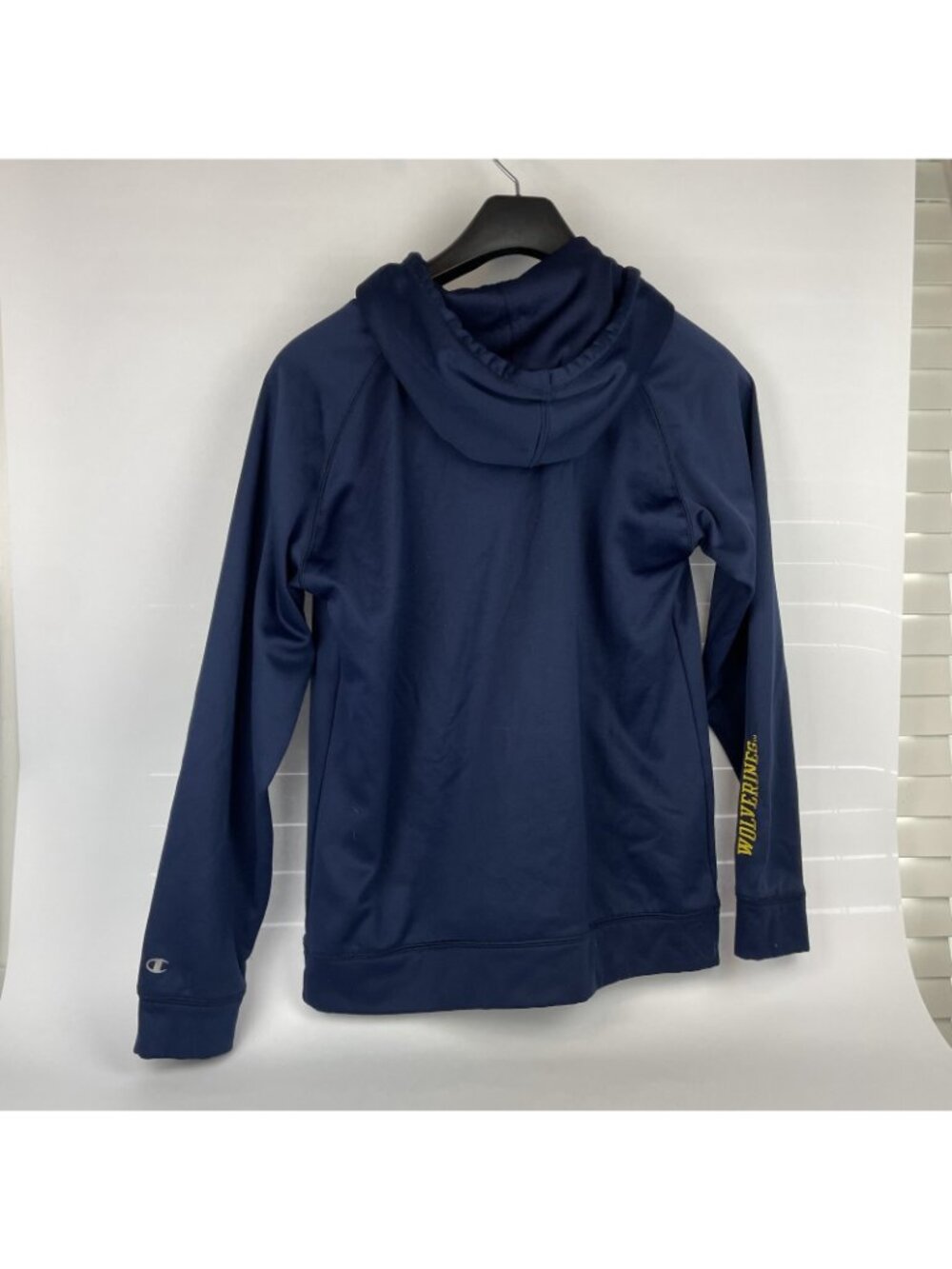 Vintage Champion Michigan Wolverines Hoodie – Men’s Small – Blue & Yellow - Picture 6 of 8